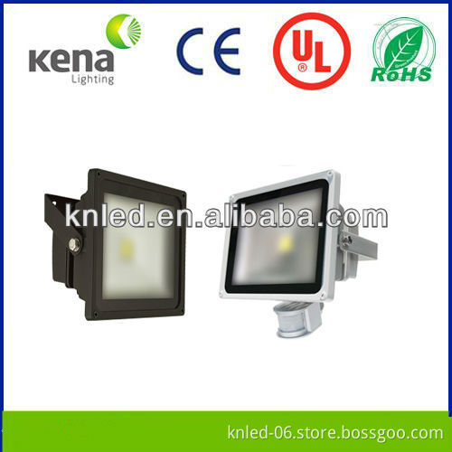 PIR led flood light,shenzhen kena